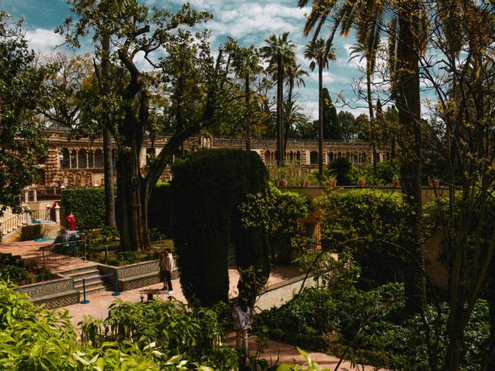 Hotel Boutique Casas de Santa Cruz | Sevilla | 3
